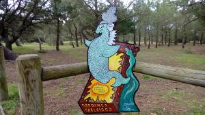 Photo des Zinzinettes commerçantes n° 12