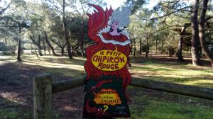 Photo des Zinzinettes inclassables n° 7