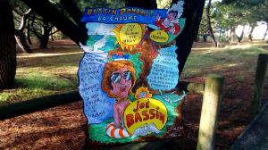 Photo des Zinzinettes régionale n° 2