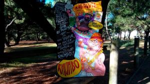 Photo des Zinzinettes régionale n° 5