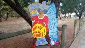 Photo des Zinzinettes régionale n° 7