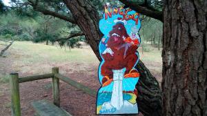 Photo des Zinzinettes stars n° 11