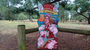 Photo des Zinzinettes stars n° 12