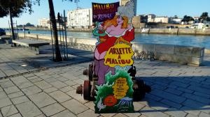 Photo des Zinzinettes stars n° 7